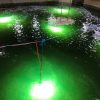luz verde en PISCICULTURA